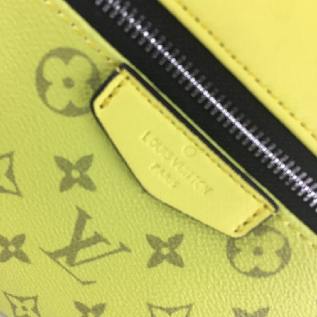 LV Discovery Backpack PM in Taiga & Monogram