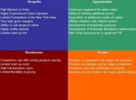 Sporting Goods Store SWOT Analysis Plus Business Plan